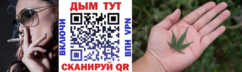 Купить  Тольятти  Канабис план 